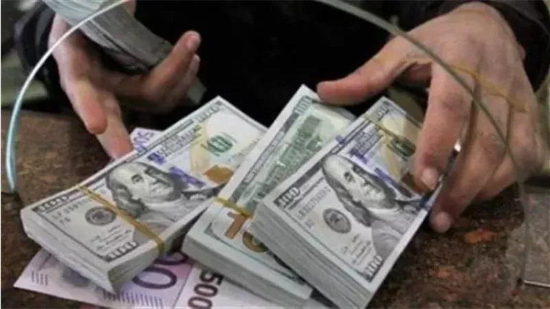 تحويلات المصريين