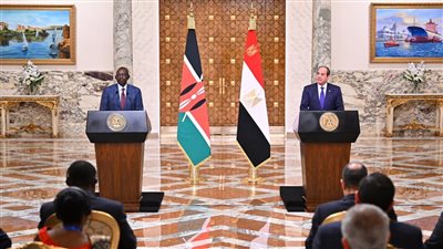 آخر تطورات رفض مصر تهجير الفلسطينيين والعمل مع أمريكا لإحلال السلام العادل (فيديو)