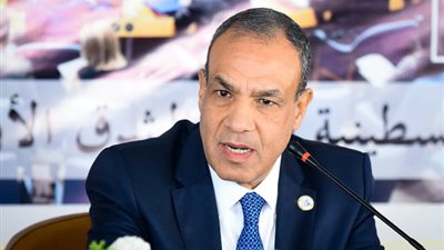 عبد العاطي يلقي الكلمة الافتتاحية للمؤتمر السنوي للمجلس المصري للشئون الخارجية (صور)