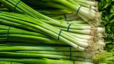  كنز صحي في مطبخك، فوائد البصل الأخضر لكل أجهزة الجسم