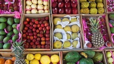 أسعار الفاكهة اليوم، الكانتلوب يبدأ من 8 جنيهات بسوق العبور