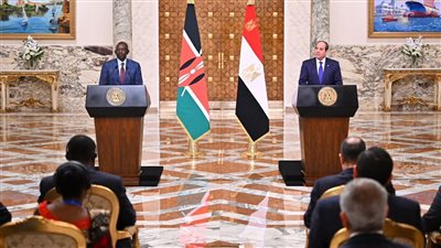 رفض تهجير الفلسطينيين أبرزها، رسائل مصرية قوية للعالم