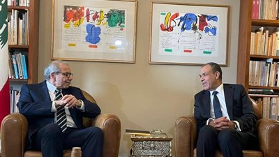 وزير الخارجية يلتقي رئيس الحكومة اللبنانية المكلف