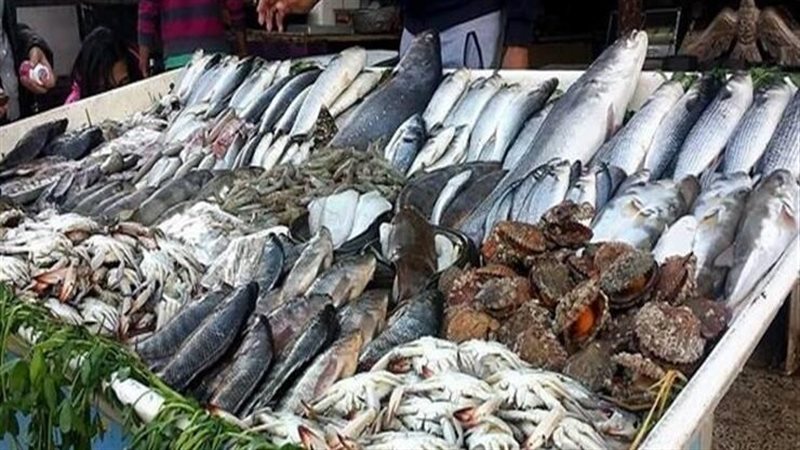 أسعار السمك اليوم،