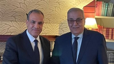 وزير الخارجية يؤكد الدعم المصري الكامل لتحقيق الاستقرار في لبنان 