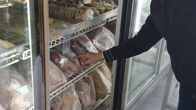 ضبط 10.5 طن أسماك ومصنعات لحوم فاسدة بالجيزة (صور)