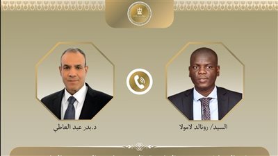  اتصال هاتفي بين وزير الخارجية والهجرة ونظيره الجنوب أفريقي