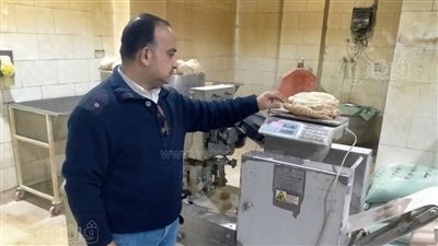 تحرير 8 مخالفات في حملات تموينية على مخابز دسوق بكفر الشيخ 