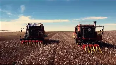 وزير قطاع الأعمال يتلقى تقريرا حول مستجدات مشروع زراعة الأقطان قصيرة التيلة بشرق العوينات