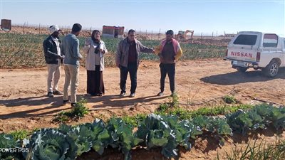 الفرق البحثية بمركز بحوث الصحراء تقدم الدعم الفني والإرشادي للمزارعين في سيناء