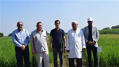 جامعة بنها تبدأ تسجيل الأصناف الزراعية بمركز البحوث الزراعية