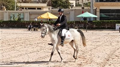 انطلاق بطولة الفروسية لذوي الهمم في نادي الحرس الجمهوري (صور) 