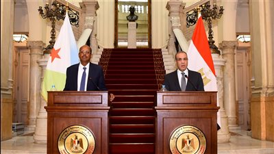 وزير الخارجية يكشف تفاصيل لقاءه مع نظيره الجيبوتي (صور) 