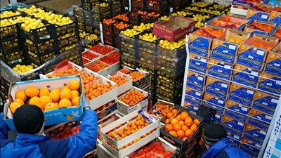 بالأرقام..أهم 10 دول مستوردة للصناعات الغذائية المصرية خلال عام 2024