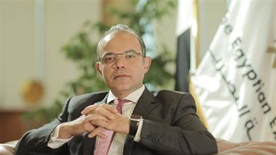 رئيس الرقابة المالية: لسنا في حاجة لإنشاء محاكم متخصصة لسوق رأس المال