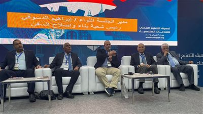  رئيس شعبة بناء السفن: حصة مصر من عوائد إصلاح السفن 200 مليون دولار