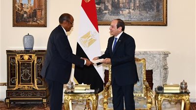 الرئيس السيسي يتسلم رسالة من نظيره الجيبوتي