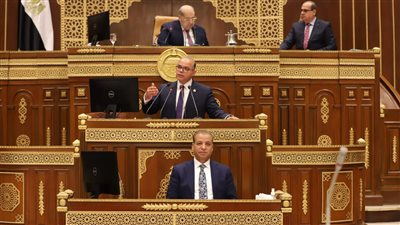 الشيوخ يحيل طلب مناقشة بشأن الارتقاء بقطاع التأمين للجنة الاقتصادية