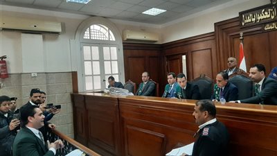 التفاصيل الكاملة لجلسة محاكمة طبيبة كفر الدوار (فيديو)