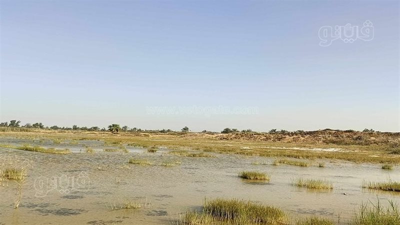 برك الشرقية،قبلة