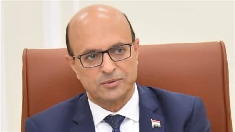 الدكتور أحمد المنشاوي
