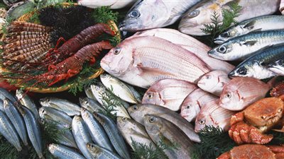 سعر السمك اليوم، الجمبري يرتفع 10 جنيهات في سوق العبور