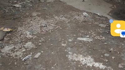 محافظ الإسكندرية يكلف بتسريع أعمال رصف الطرق بجميع الأحياء