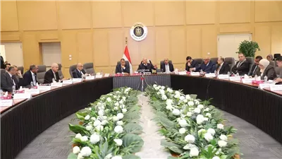 كامل الوزير: تنسيق مع البترول لتوصيل الغاز الطبيعي للمناطق الصناعية بكفر الشيخ