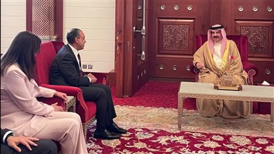 وزير الخارجية لملك البحرين: أمن الخليج جزء لا يتجزأ من الأمن القومي المصري