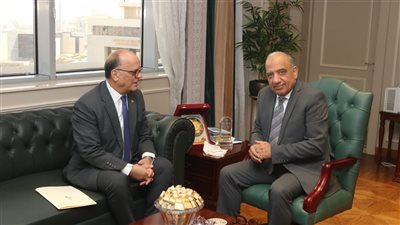 وزير الكهرباء: نعمل على توطين صناعة المهمات اللازمة للطاقات المتجددة ‏‎