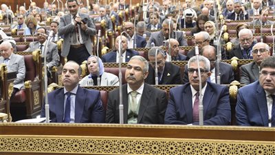 مطالب بالشيوخ بزيادة الإنفاق على البحث العلمي وإعداد قاعدة بيانات للعلماء بالخارج 