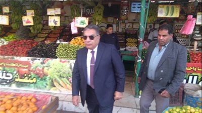 محافظ الدقهلية يجري جولة تفقدية بدكرنس وشربين (صور)