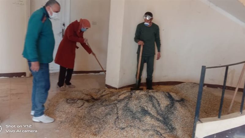 خلطة مكافحة القوارض،