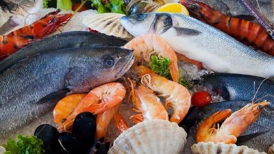  سعر السمك اليوم، ارتفاع كبير في السبيط والبوري وانخفاض المرجان 20 جنيها