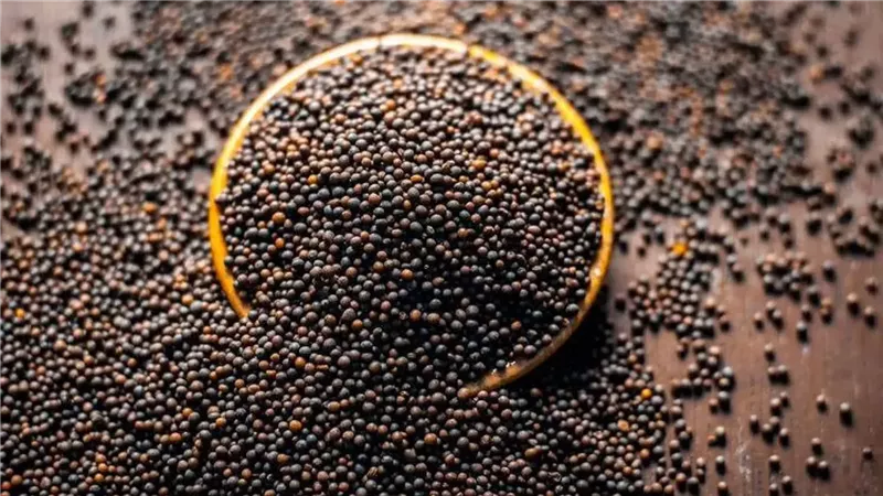 تفسير رؤية بذور الخردل