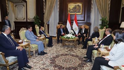 رئيس الشيوخ: استقرار اليمن يمثل أهمية قصوى للأمن القومي المصري