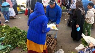 حملة مكبرة في وسط الإسكندرية لضبط الأسواق وإزالة اشغالات الباعة الجائلين 