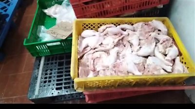 ضبط لحوم ودواجن منتهية الصلاحية داخل مخزن بالإسكندرية