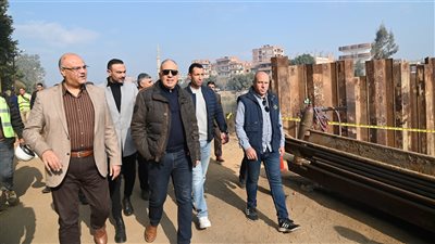 وزير الري يتفقد مخرات السيول بقنا للتأكد من جاهزيتها (فيديو)