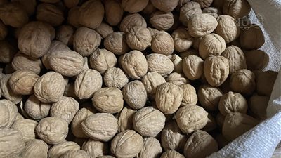 تراجع أسعار الياميش ينعش سوق باب البحر برمسيس قبل رمضان.. توفير المنتجات المحلية «السبب».. قمر الدين يبدأ من 65 جنيهًا وعين الجمل بـ 540 (فيديو وصور) 