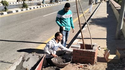 استمرار زراعة الأشجار وتطوير الأحواض بشوارع حي غرب أسيوط