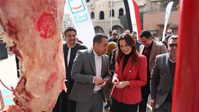 محافظة الجيزة: توفير اللحوم البلدية بأسعار مخفضة للمواطنين