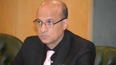 وكيل الصحفيين: مصر والنرويج تواجهان العرقلة المنهجية لإسرائيل على