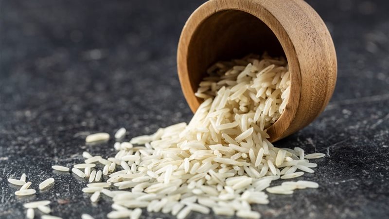 سعر الأرز