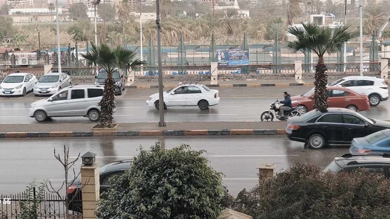 حالة الطقس، فيتو