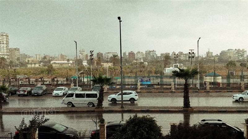 حالة الطقس غدا، فيتو