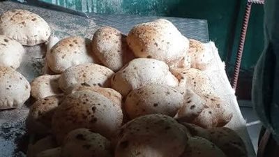 تحرير 15 محضرا خلال حملة مكبرة على المخابز البلدية في أسيوط