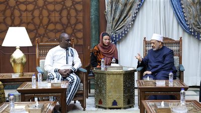 وزير الأمن البوركيني: نعول على الأزهر في مواجهة الجماعات المتطرفة 