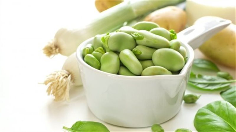 فوائد الفول الأخضر