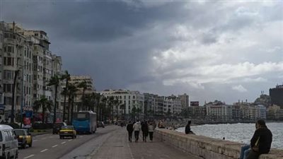 رياح شديدة وصقيع وتساقط أعمدة إنارة وأشجار، نوة الكرم تقسو على الإسكندرية (فيديو)